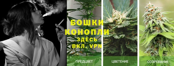 ECSTASY Арсеньев