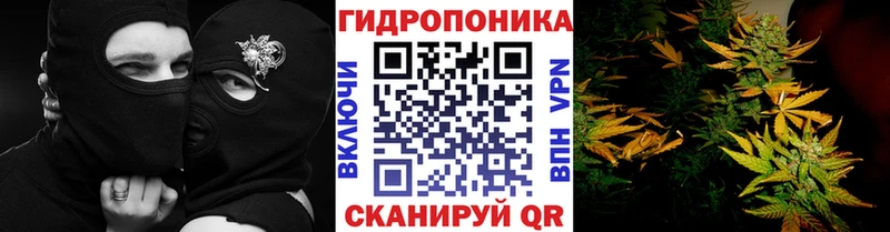 Конопля VHQ  Рыбинск 